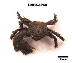  ( - LMBSAP17-001)  @13 [ ] Unspecified (default): All Rights Reserved  Unspecified Unspecified