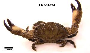  ( - LMBSAP18-002)  @11 [ ] Unspecified (default): All Rights Reserved  Unspecified Unspecified