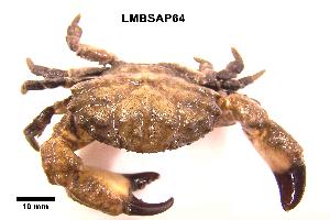  ( - LMBSAP18-002)  @14 [ ] Unspecified (default): All Rights Reserved  Unspecified Unspecified