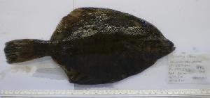  ( - MLFPI54)  @13 [ ] Unspecified (default): All Rights Reserved  Unspecified Unspecified