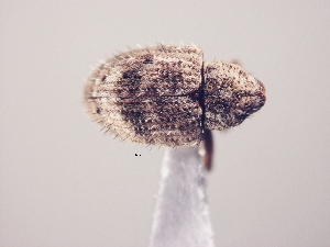  ( - MLPCU0114)  @11 [ ] Unspecified (default): All Rights Reserved  Unspecified Unspecified