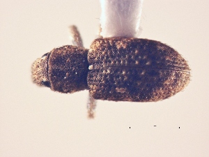  ( - MLPCU0128)  @11 [ ] Unspecified (default): All Rights Reserved  Unspecified Unspecified