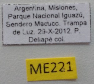  ( - ME221)  @11 [ ] No Rights Reserved (2018) Eugenia Minghetti Museo de La Plata