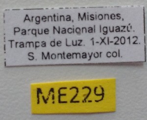  ( - ME229)  @11 [ ] No Rights Reserved (2018) Eugenia Minghetti Museo de La Plata
