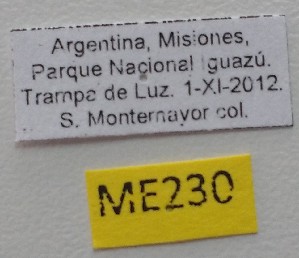  ( - ME230)  @11 [ ] No Rights Reserved (2018) Eugenia Minghetti Museo de La Plata