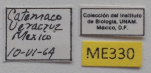  ( - ME330)  @11 [ ] No Rights Reserved (2018) Eugenia Minghetti Museo de La Plata