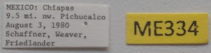  ( - ME334)  @11 [ ] No Rights Reserved (2018) Eugenia Minghetti Museo de La Plata