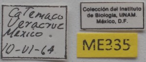  ( - ME335)  @11 [ ] No Rights Reserved (2018) Eugenia Minghetti Museo de La Plata