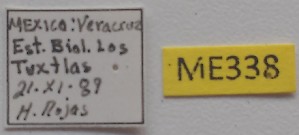  ( - ME338)  @11 [ ] No Rights Reserved (2018) Eugenia Minghetti Museo de La Plata