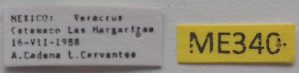  ( - ME340)  @11 [ ] No Rights Reserved (2018) Eugenia Minghetti Museo de La Plata
