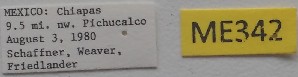 ( - ME342)  @11 [ ] No Rights Reserved (2018) Eugenia Minghetti Museo de La Plata
