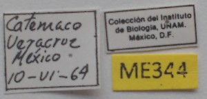  ( - ME344)  @11 [ ] No Rights Reserved (2018) Eugenia Minghetti Museo de La Plata