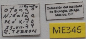  ( - ME346)  @11 [ ] No Rights Reserved (2018) Eugenia Minghetti Museo de La Plata