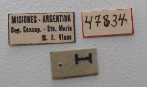 ( - ME410)  @11 [ ] No Rights Reserved (2018) Eugenia Minghetti Museo de La Plata