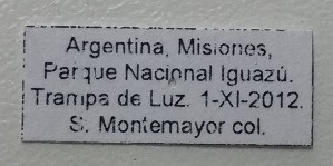  ( - ME414)  @11 [ ] No Rights Reserved (2018) Eugenia Minghetti Museo de La Plata