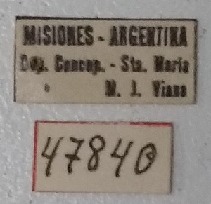  ( - ME431)  @11 [ ] No Rights Reserved (2018) Eugenia Minghetti Museo de La Plata