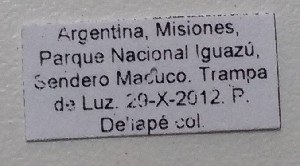  ( - ME434)  @11 [ ] No Rights Reserved (2018) Eugenia Minghetti Museo de La Plata