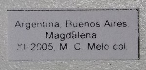  ( - ME441)  @11 [ ] No Rights Reserved (2018) Eugenia Minghetti Museo de La Plata