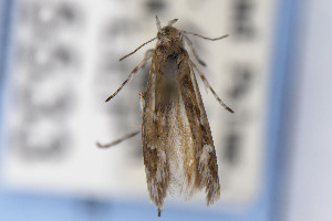  ( - CNCLEP00015533)  @11 [ ] Unspecified (default): All Rights Reserved (2025) Jean-Francois Landry Canadian National Collection