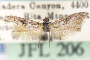  (Scythris JFL090 - CNCLEP00015688)  @11 [ ] Unspecified (default): All Rights Reserved (2025) Jean-Francois Landry Canadian National Collection