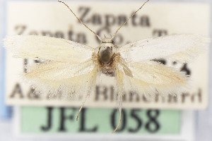  (Scythris JFL155 - CNCLEP00130375)  @11 [ ] Unspecified (default): All Rights Reserved (2025) Jean-Francois Landry Canadian National Collection