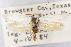  ( - CNCLEP00130377)  @11 [ ] Unspecified (default): All Rights Reserved (2025) Jean-Francois Landry Canadian National Collection