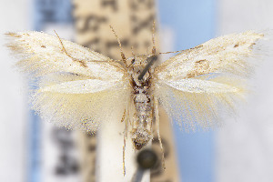  ( - EMEC1149479)  @11 [ ] Unspecified (default): All Rights Reserved (2025) Jean-Francois Landry Canadian National Collection