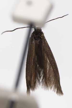  ( - EMEC1149859)  @11 [ ] Unspecified (default): All Rights Reserved (2025) Jean-Francois Landry Canadian National Collection