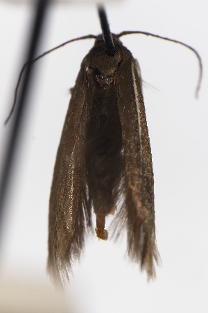  ( - EMEC1149867)  @11 [ ] Unspecified (default): All Rights Reserved (2025) Jean-Francois Landry Canadian National Collection