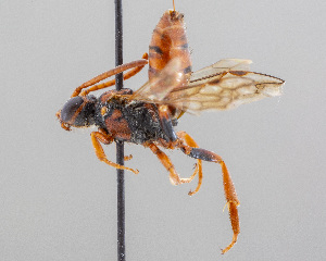  ( - DRP07070)  @11 [ ] CreativeCommons - Attribution Non-Commercial Share-Alike  Unspecified Unspecified