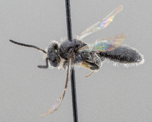  ( - DRP06933)  @11 [ ] CreativeCommons - Attribution Non-Commercial Share-Alike  Unspecified Unspecified