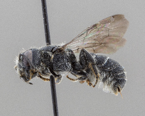  ( - DRP07152)  @11 [ ] CreativeCommons - Attribution Non-Commercial Share-Alike  Unspecified Unspecified