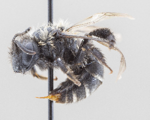  ( - DRP07108)  @11 [ ] CreativeCommons - Attribution Non-Commercial Share-Alike  Unspecified Unspecified