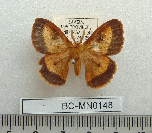  ( - BC-MN0148)  @11 [ ] Copyright (2010) Mike Newport Research Collection of Mike Newport