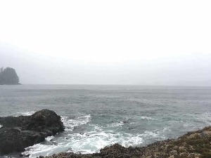  ( - BOLD-3K5EHMRP6)  @11 [ ] Copyright (2017) LifeScanner Unspecified
