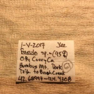  ( - BOLD-3JY6CNFI4)  @11 [ ] Copyright (2017) LifeScanner Unspecified