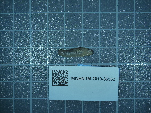  ( - 2020_021)  @11 [ ] CreativeCommons - Attribution Non-Commercial Share-Alike  Unspecified Unspecified