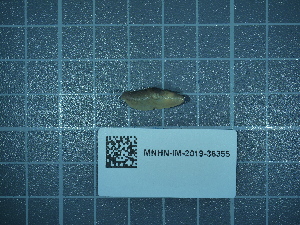  ( - 2020_166)  @11 [ ] CreativeCommons - Attribution Non-Commercial Share-Alike  Unspecified Unspecified