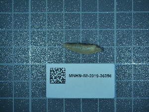  ( - 2020_168)  @11 [ ] CreativeCommons - Attribution Non-Commercial Share-Alike  Unspecified Unspecified