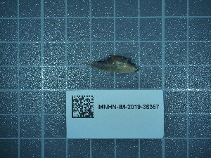  ( - 2020_169)  @11 [ ] CreativeCommons - Attribution Non-Commercial Share-Alike  Unspecified Unspecified