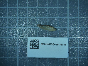  ( - 2020_171)  @11 [ ] CreativeCommons - Attribution Non-Commercial Share-Alike  Unspecified Unspecified