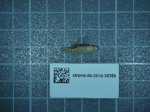  ( - 2020_172)  @11 [ ] CreativeCommons - Attribution Non-Commercial Share-Alike  Unspecified Unspecified