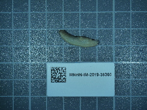  ( - 2020_185)  @11 [ ] CreativeCommons - Attribution Non-Commercial Share-Alike  Unspecified Unspecified