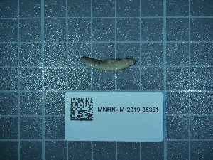  ( - 2020_186)  @11 [ ] CreativeCommons - Attribution Non-Commercial Share-Alike  Unspecified Unspecified