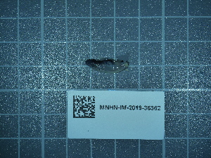  ( - 2020_234)  @11 [ ] CreativeCommons - Attribution Non-Commercial Share-Alike  Unspecified Unspecified