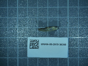  ( - 2020_249)  @11 [ ] CreativeCommons - Attribution Non-Commercial Share-Alike  Unspecified Unspecified