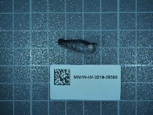  ( - 2020_260)  @11 [ ] CreativeCommons - Attribution Non-Commercial Share-Alike  Unspecified Unspecified