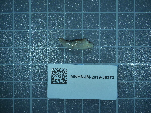  ( - 2024_277)  @11 [ ] CreativeCommons - Attribution Non-Commercial Share-Alike  Unspecified Unspecified