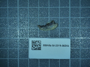  ( - 2024_333)  @11 [ ] CreativeCommons - Attribution Non-Commercial Share-Alike  Unspecified Unspecified