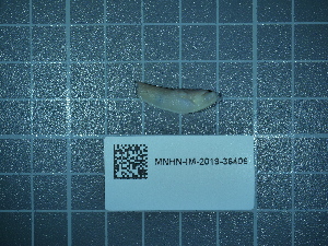  ( - 2025_497)  @11 [ ] CreativeCommons - Attribution Non-Commercial Share-Alike  Unspecified Unspecified